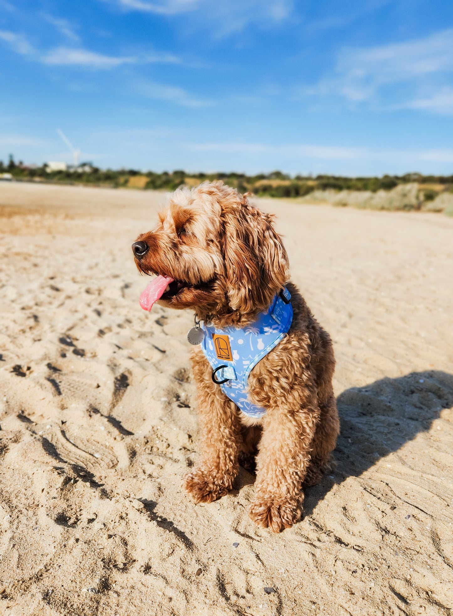 By The Ocean Harness