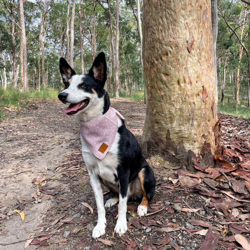 Pink Polk Dotl Dog Bandana