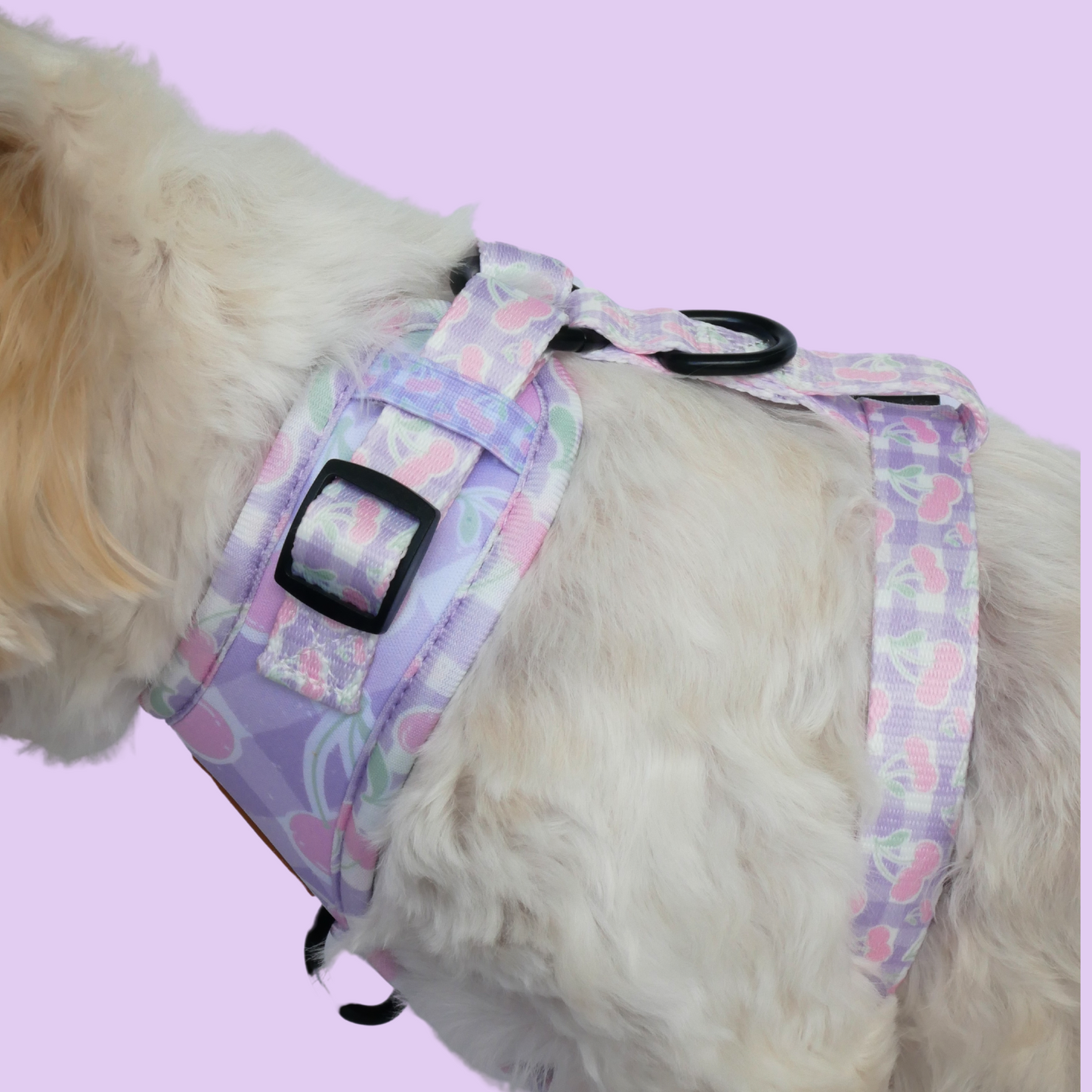 Cherry On Top Harness