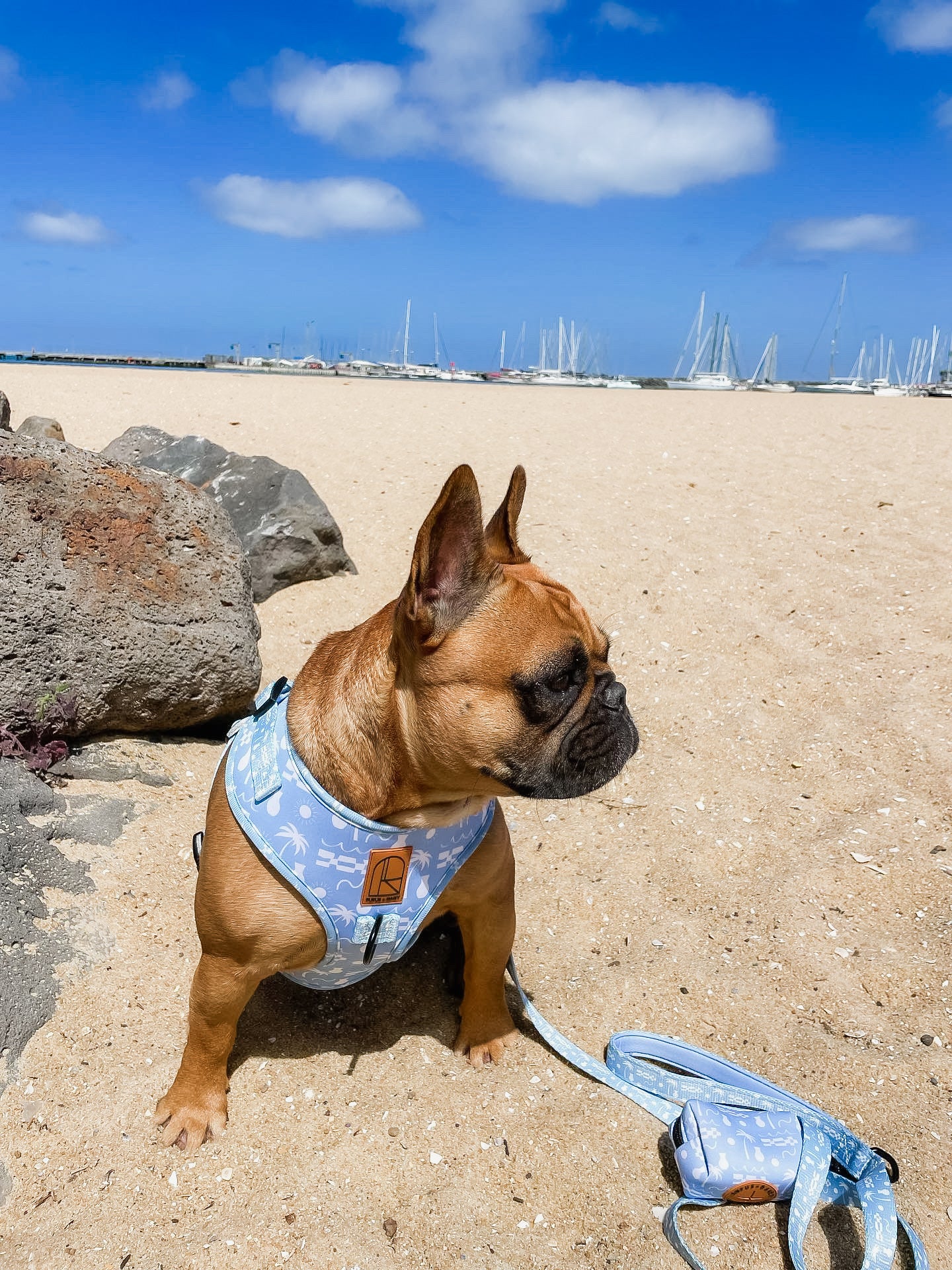 By The Ocean Harness