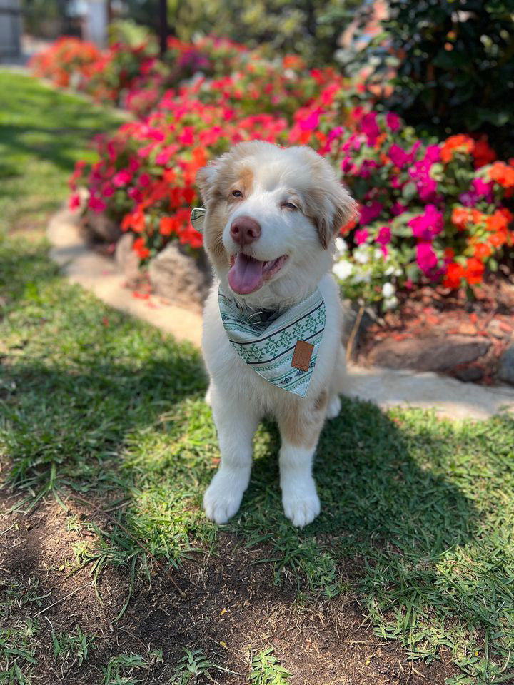 Aztec Bandana