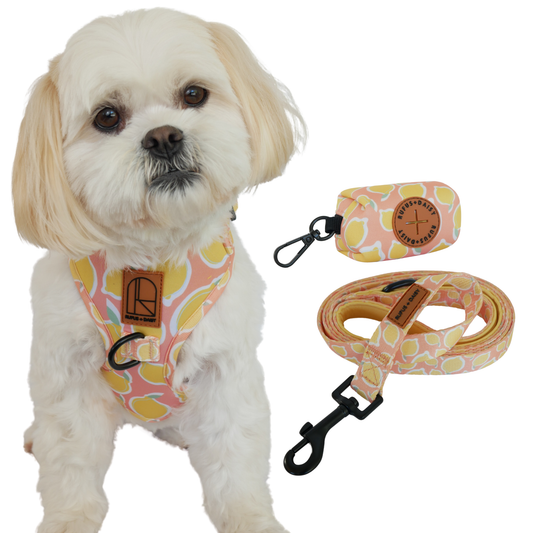 La Dolce Vita Harness Pack