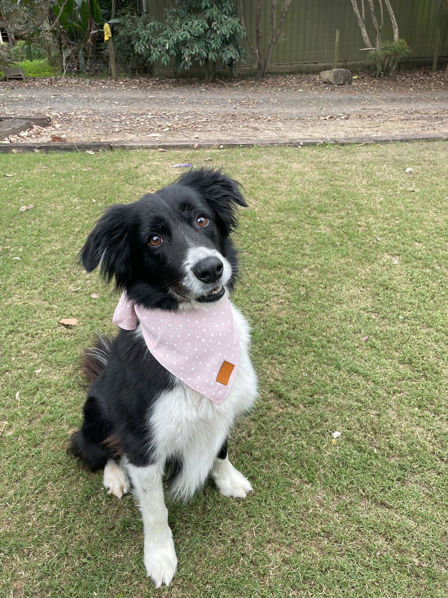 Confetti Bandana