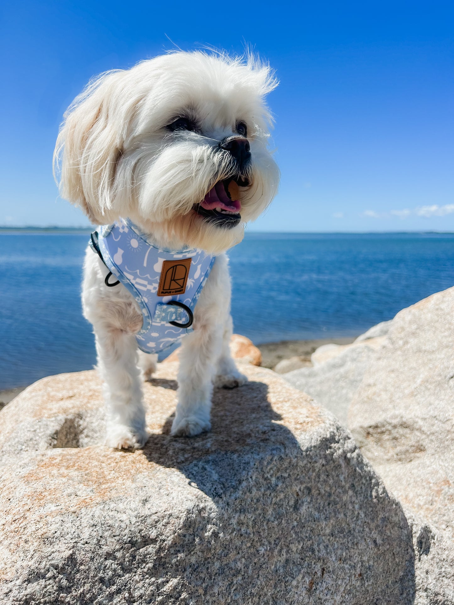 By The Ocean Harness