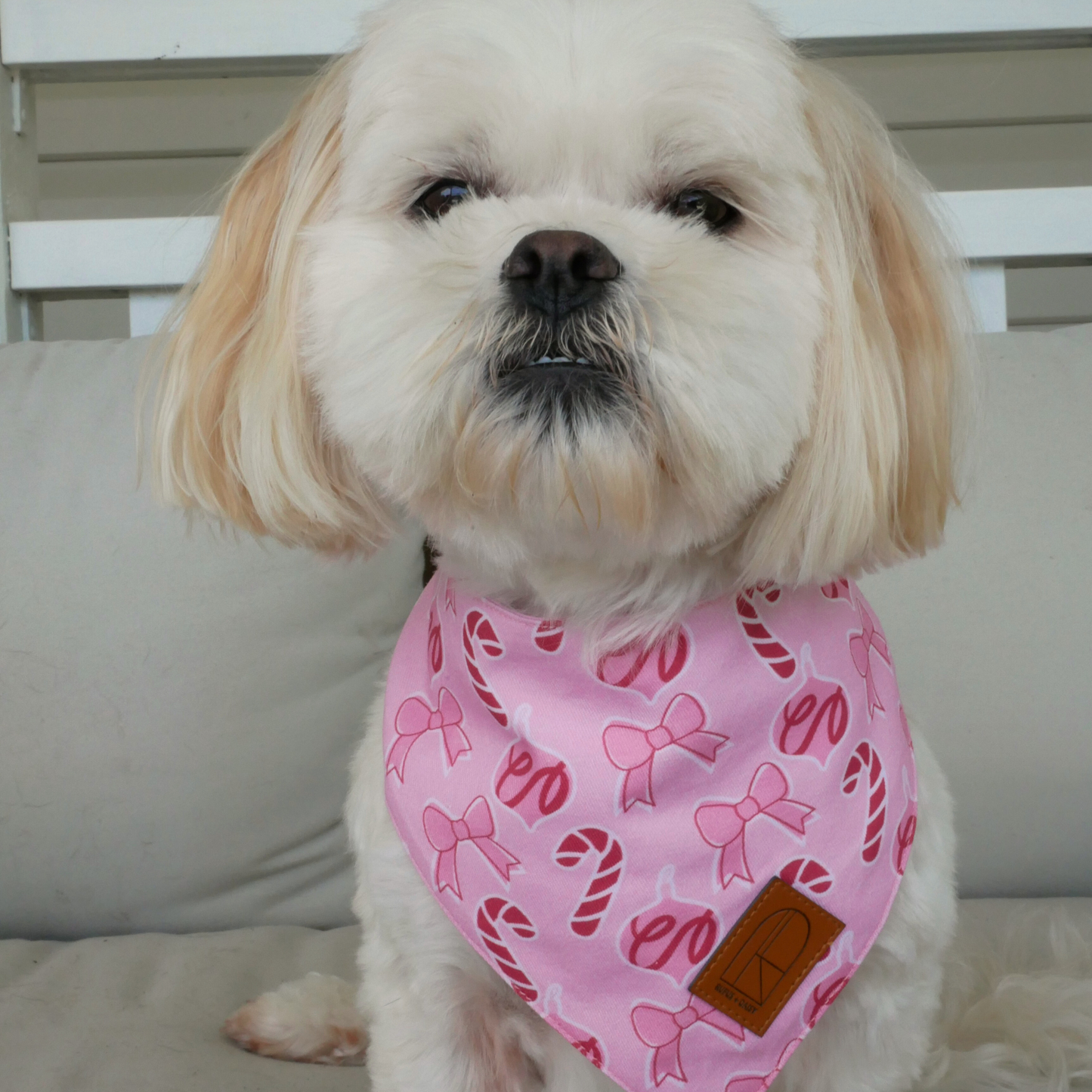 Candy Kisses Bandana