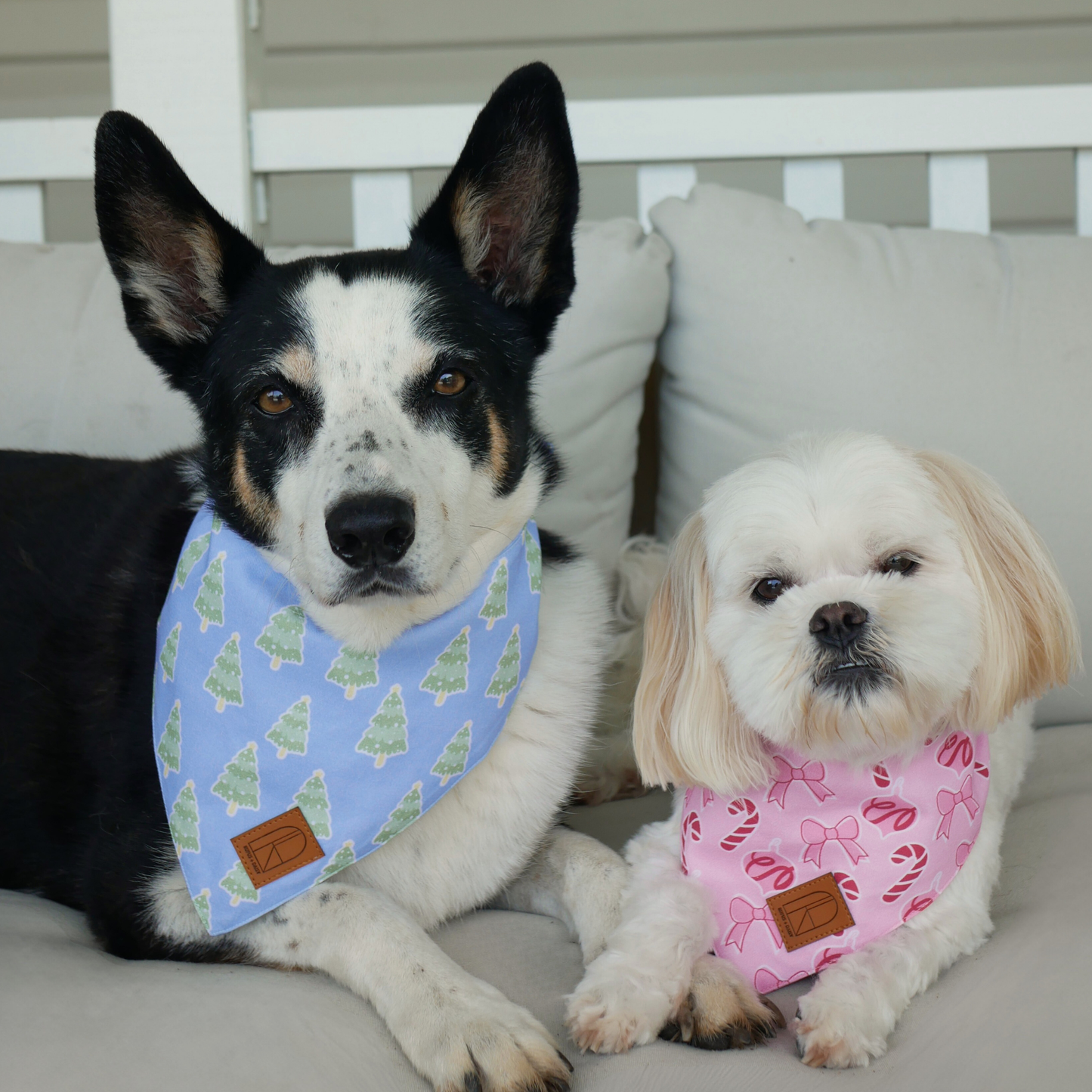 Candy Kisses Bandana