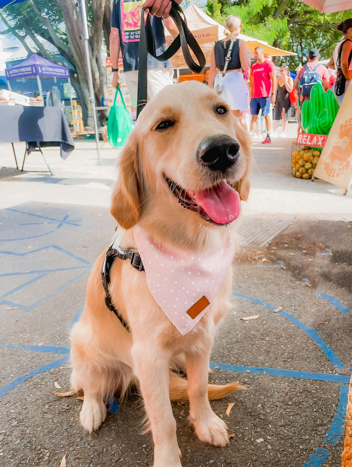 Confetti Bandana