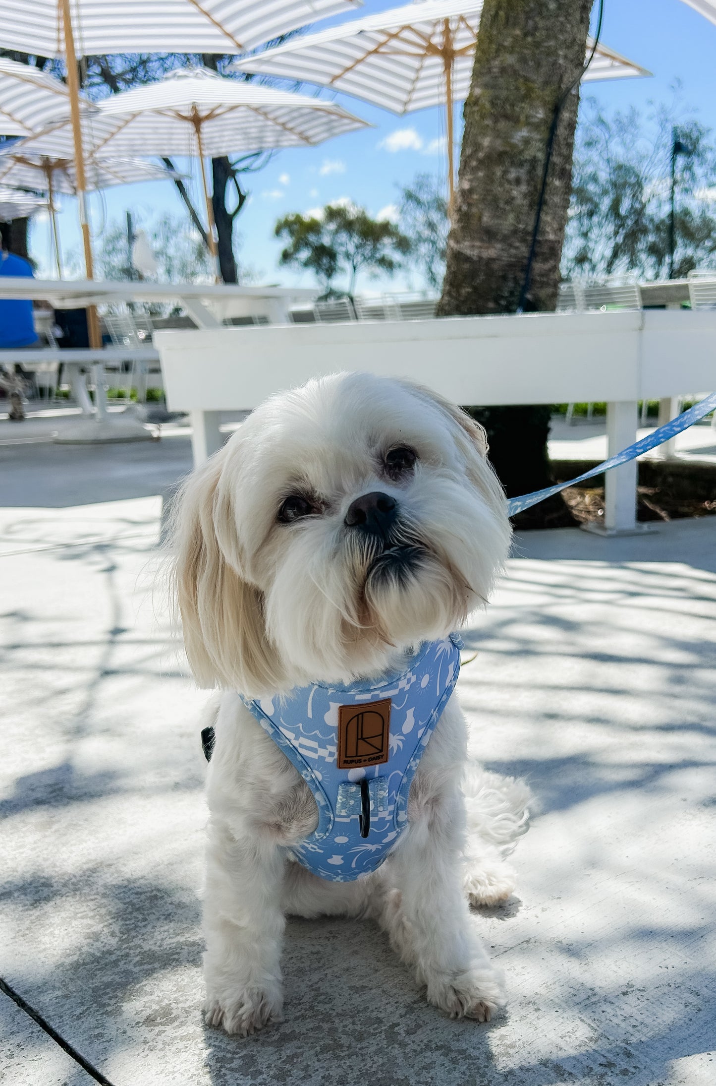 By The Ocean Harness