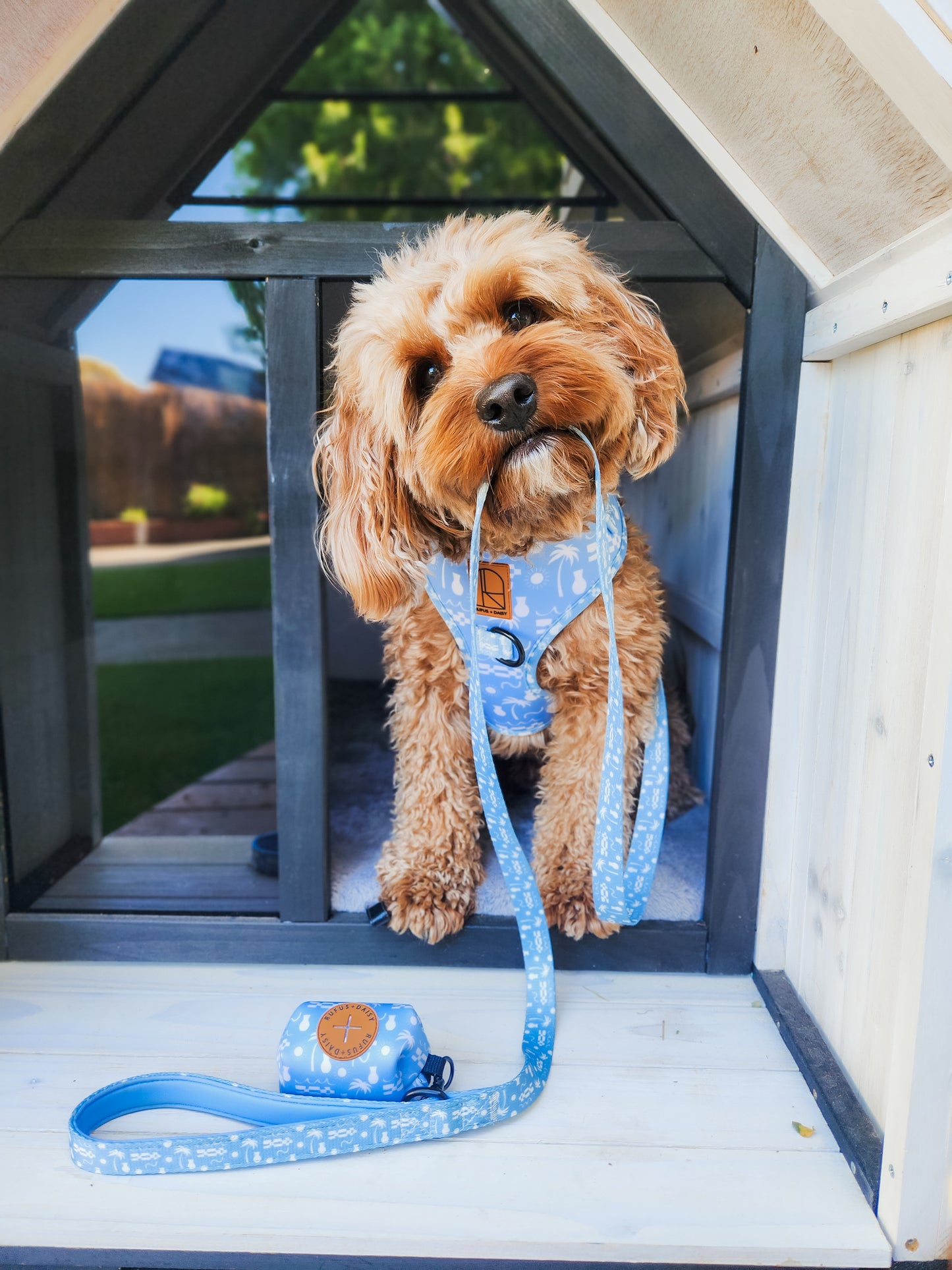 By The Ocean Harness Pack