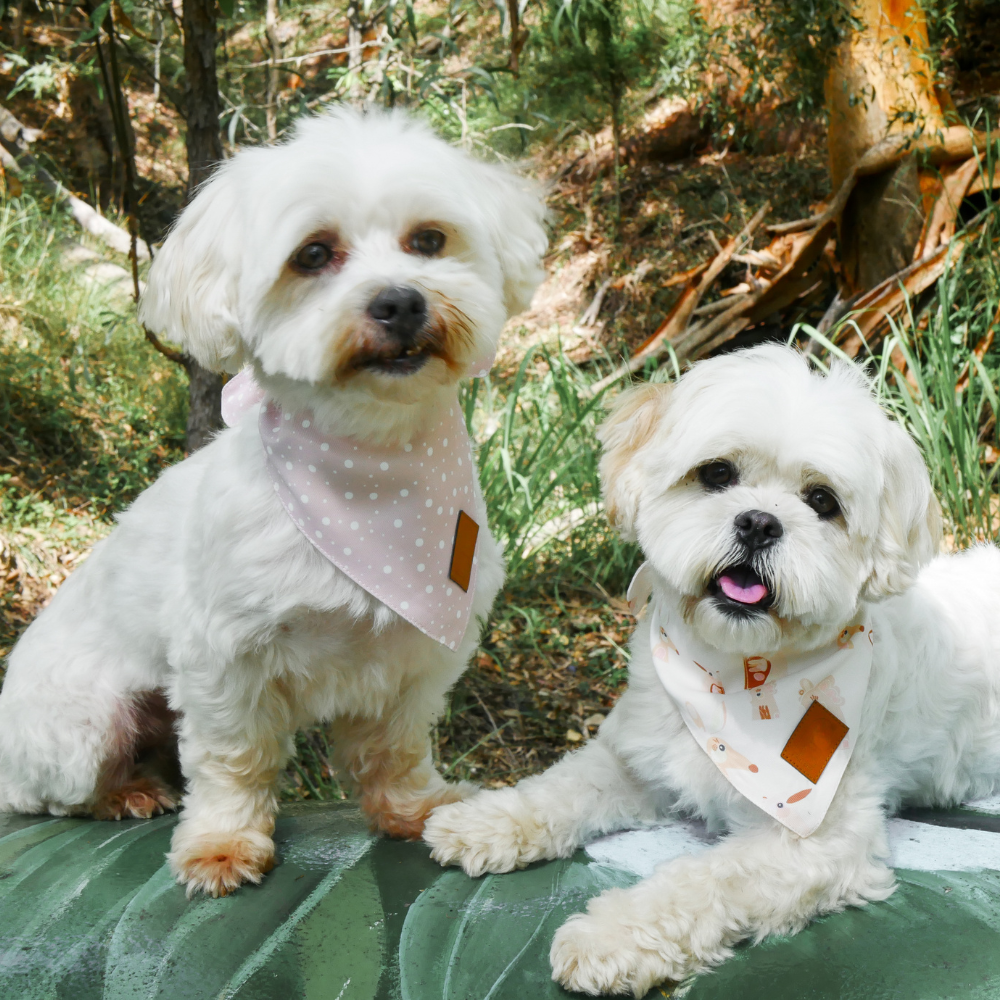 Pink Australian Animal Dog Bandana